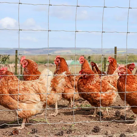 Casa de Férias Molly's Malton