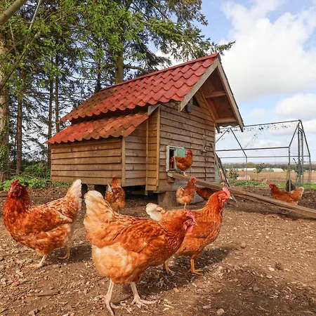 Holiday home Molly's Malton