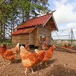 Holiday home Molly's Malton